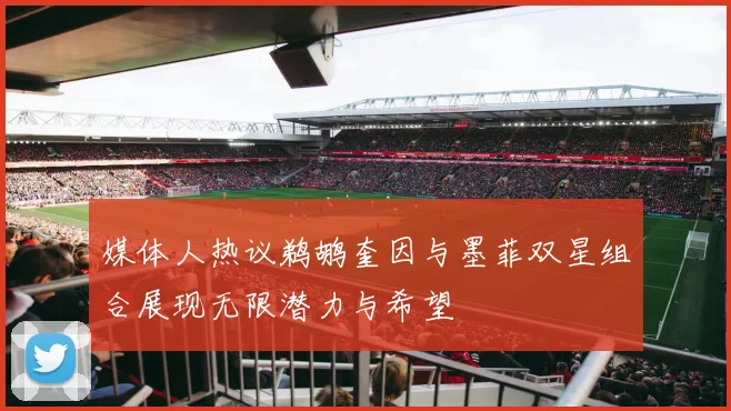 媒体人热议鹈鹕奎因与墨菲双星组合展现无限潜力与希望