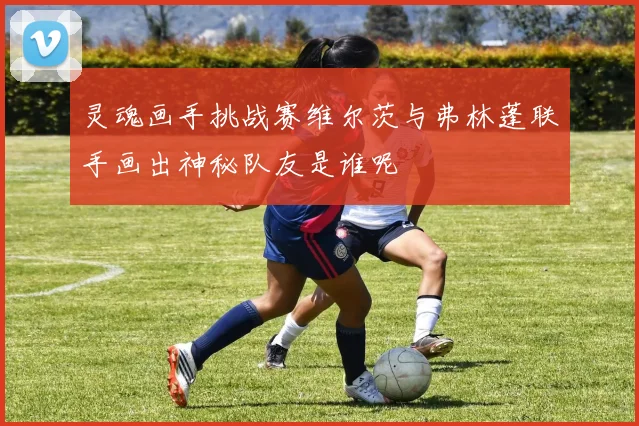 灵魂画手挑战赛维尔茨与弗林蓬联手画出神秘队友是谁呢
